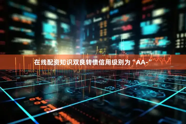 在线配资知识双良转债信用级别为“AA-”